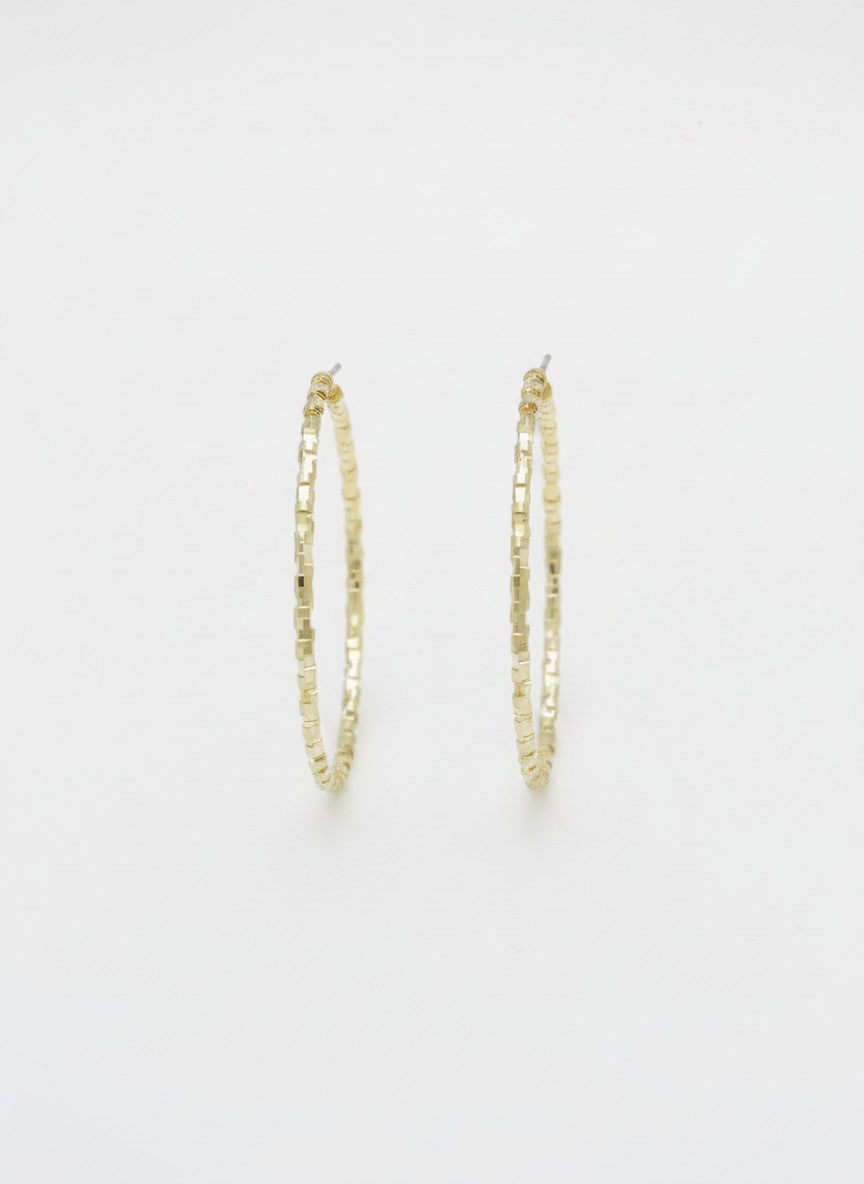 Delicate Pavé Gold Hoop Earrings